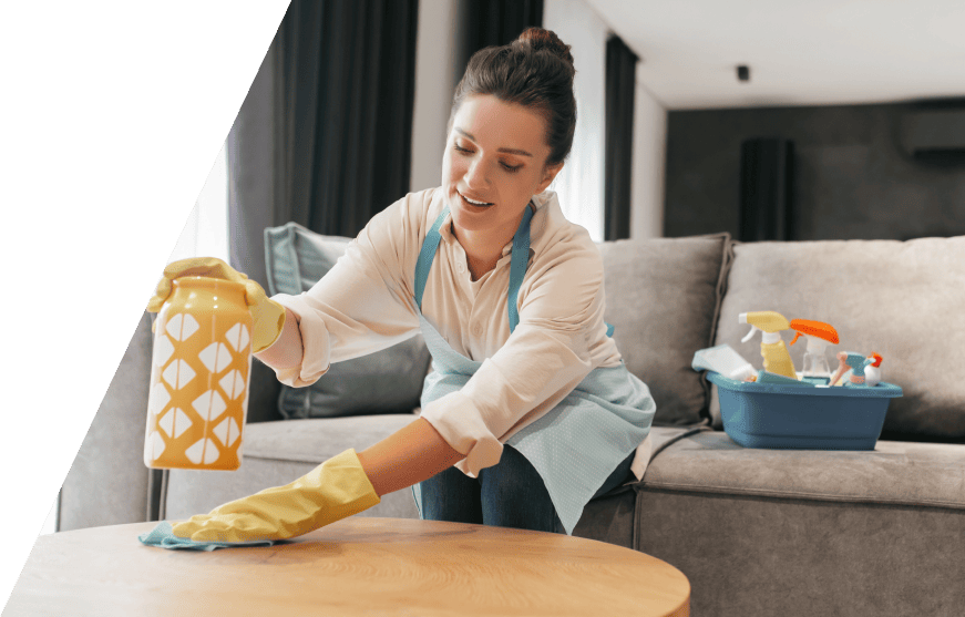 Cleaning Business Management Software